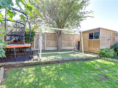 Picture 36